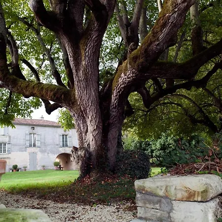 Beautiful Riverside Boathouse *